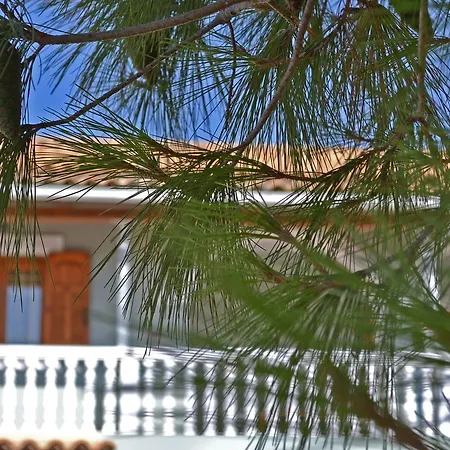 Lodge Pine Tree Apartment&sunset Agios Nikolaos (Zakynthos)