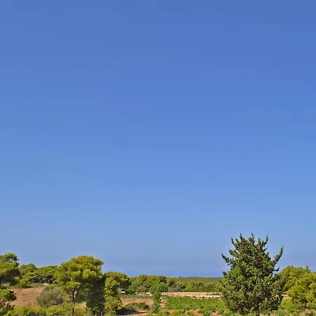 Lodge Pine Tree Apartment&sunset Agios Nikolaos (Zakynthos)